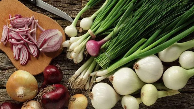 Červená cibule nakrájená vedle žluté, červené a zelené cibule.