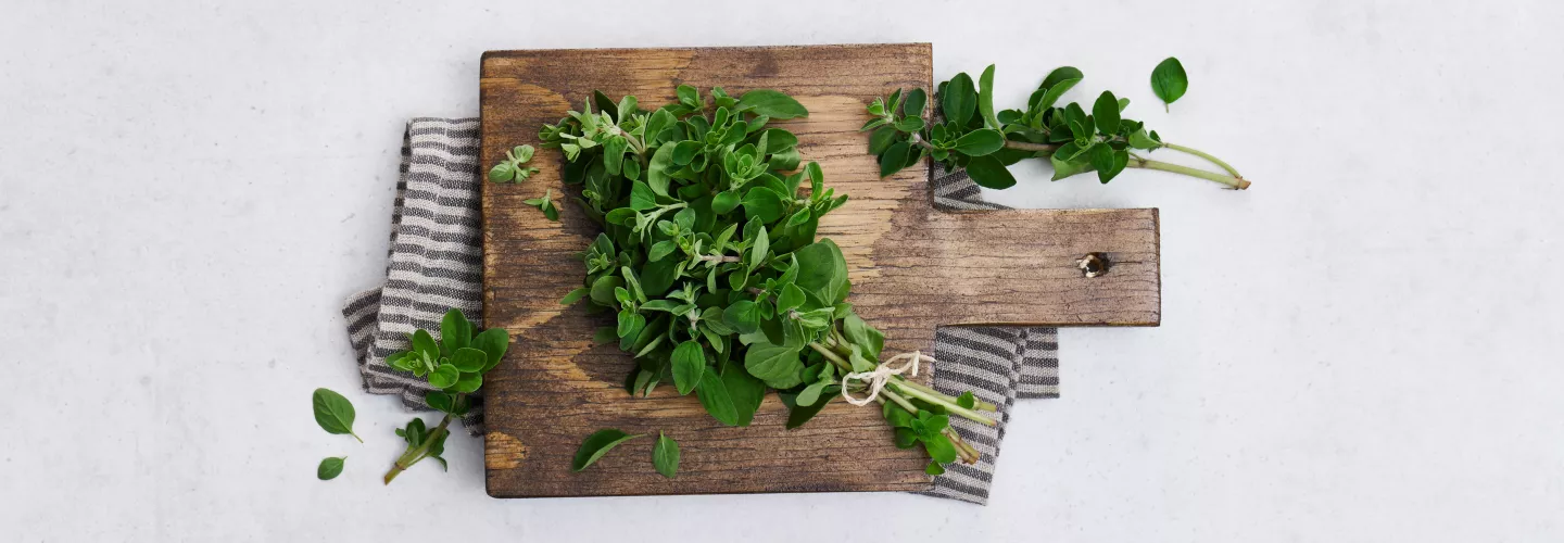Fresh oregano herb on wooden board