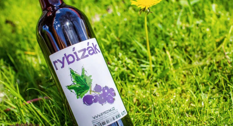Rybízák wine bottle in grass