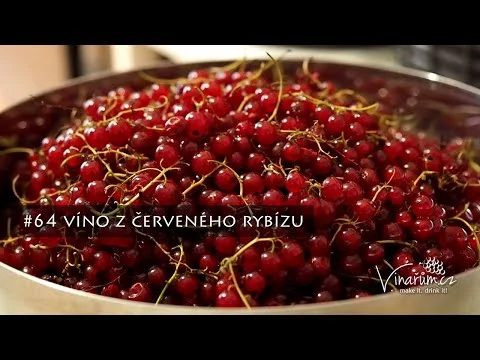 Čerstvé červené rybíz v míse na výrobu vína.