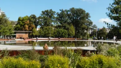 Sluneční městský park s vodní plochou, stromy a lidmi.