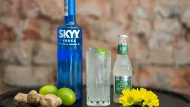 Složení koktejlu s vodkou: limety, zázvor, soda a sklenička.