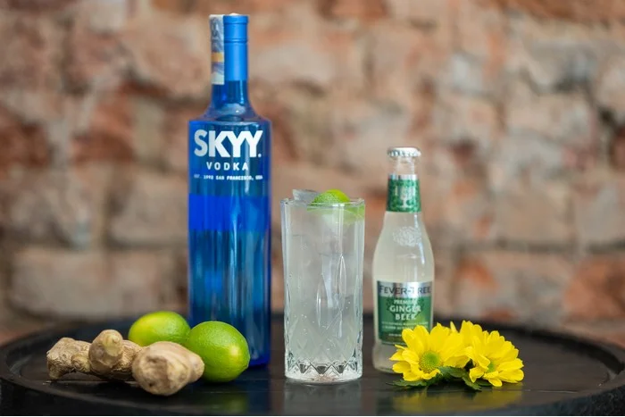 Složení koktejlu s vodkou: limety, zázvor, soda a sklenička.