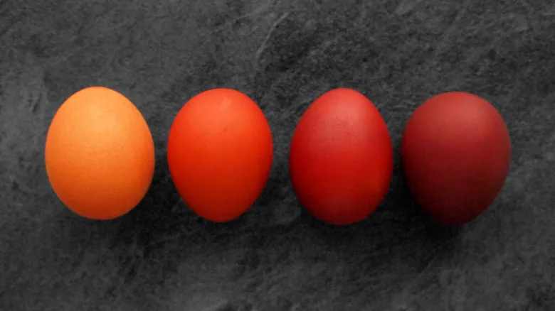 Vejce barvená vínem ukazující přechod od oranžové do červené.