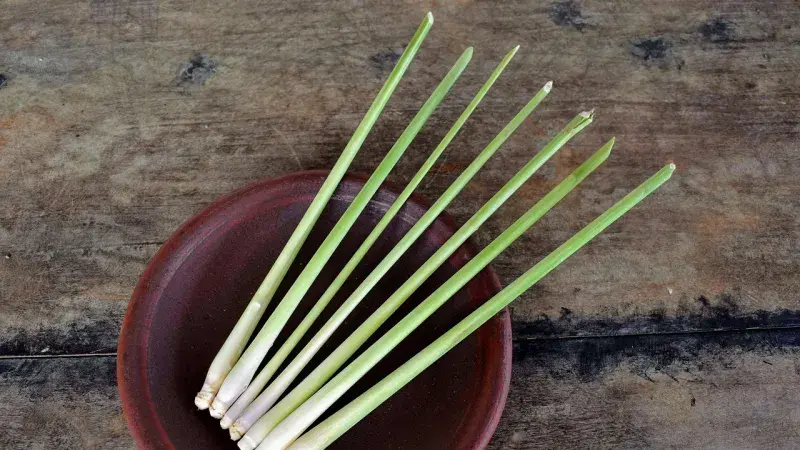 Lemongrass stalks