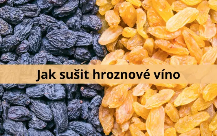 Tmavé a žluté rozinky položené vedle sebe.