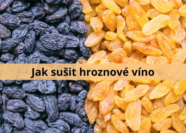 Tmavé a žluté rozinky položené vedle sebe.