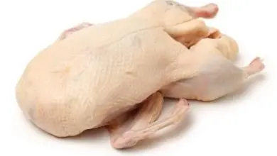 Syrová kachna bez peří připravená pro kuchyňské využití.