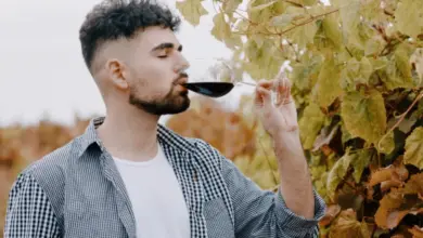 Muž ochutnává červené víno mezi vinnými lodyhami.