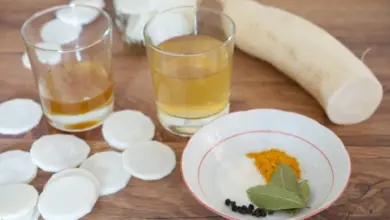 Ingredience pro nakládanou ředkev s kořením a nálevem.