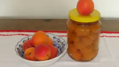 Mísa čerstvých meruněk vedle sklenice kompotu s polovičkami.