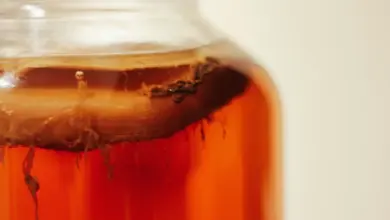 Sklenice s kombuchou viditelným SCOBY na povrchu nápoje.