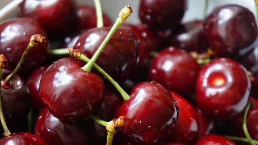 Fresh cherries with stems