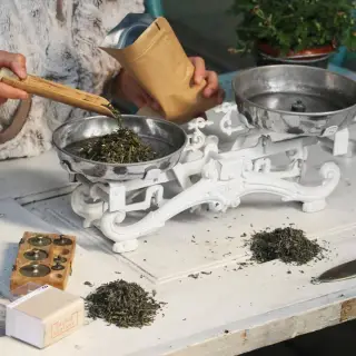 Člověk váží suché zelený čaj na starých vahách.