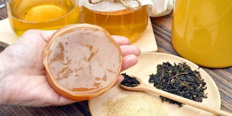 Ruka drží SCOBY z kombuchy s čajovými listy v pozadí.
