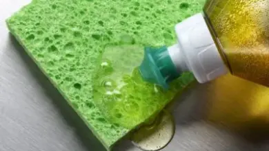 Dish soap and sponge on shirt collar