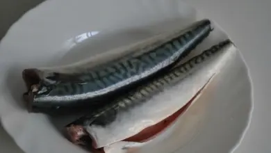 Dvě syrové makrely na bílém talíři připravené k pečení.